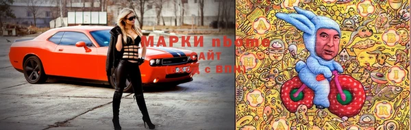 прущие грибы Алексеевка