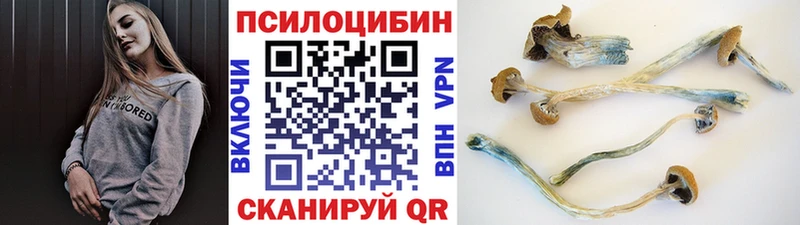 Галлюциногенные грибы Magic Shrooms Неман